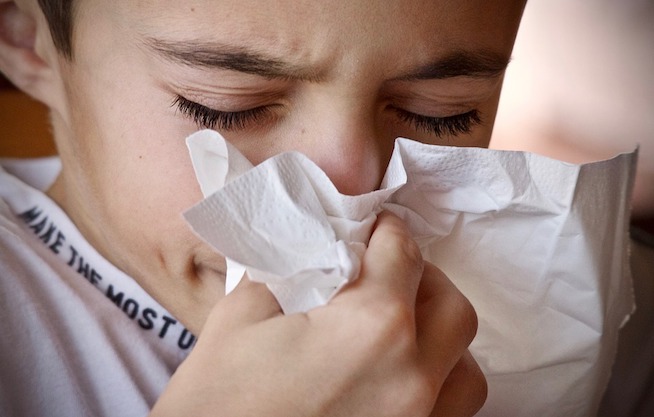 Jak zařídit domácnost, když jste alergik nebo ho máte v rodině?