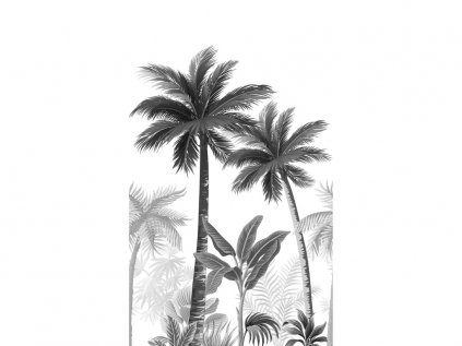 Marburg palmy černobílé (2)