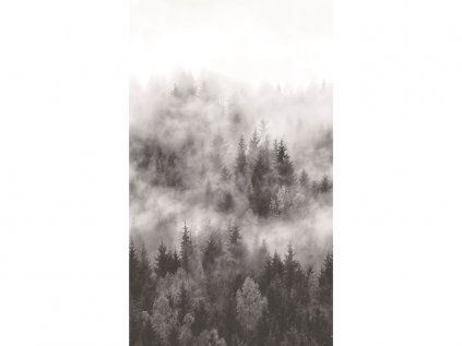 Marburg les v mlze černý (1)