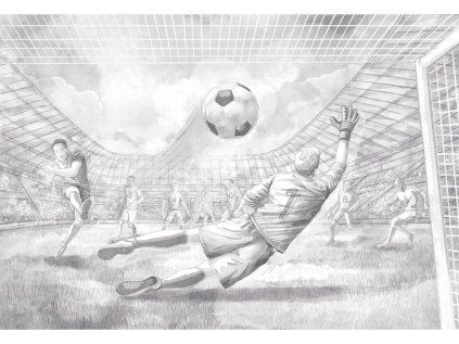 25832 velkoplosna tapeta mural fotbal do detskeho pokoje