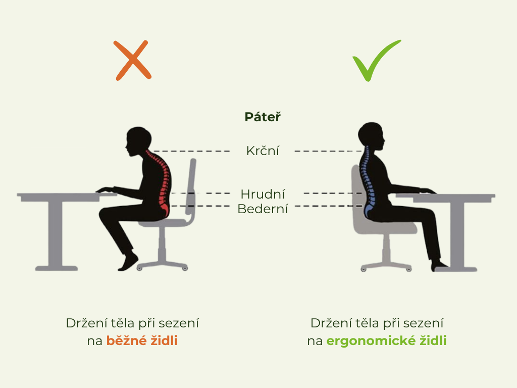 Dětská výškově nastavitelná židle k psacímu stolu ANTRACITOVÁ Zvolte rozměr: dítě 119 - 142 cm (výška stolu 68 - 81 cm) (obrázek 4)