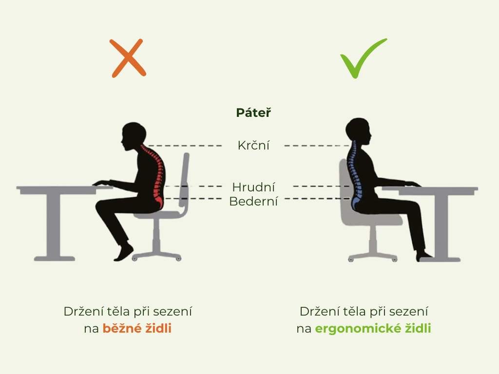Dětská výškově nastavitelná židle k psacímu stolu BÉŽOVÁ Zvolte rozměr: dítě 119 - 142 cm (výška stolu 68 - 81 cm) (obrázek 3)
