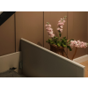 9.Produktové fotky 2026 09 18T173910.401